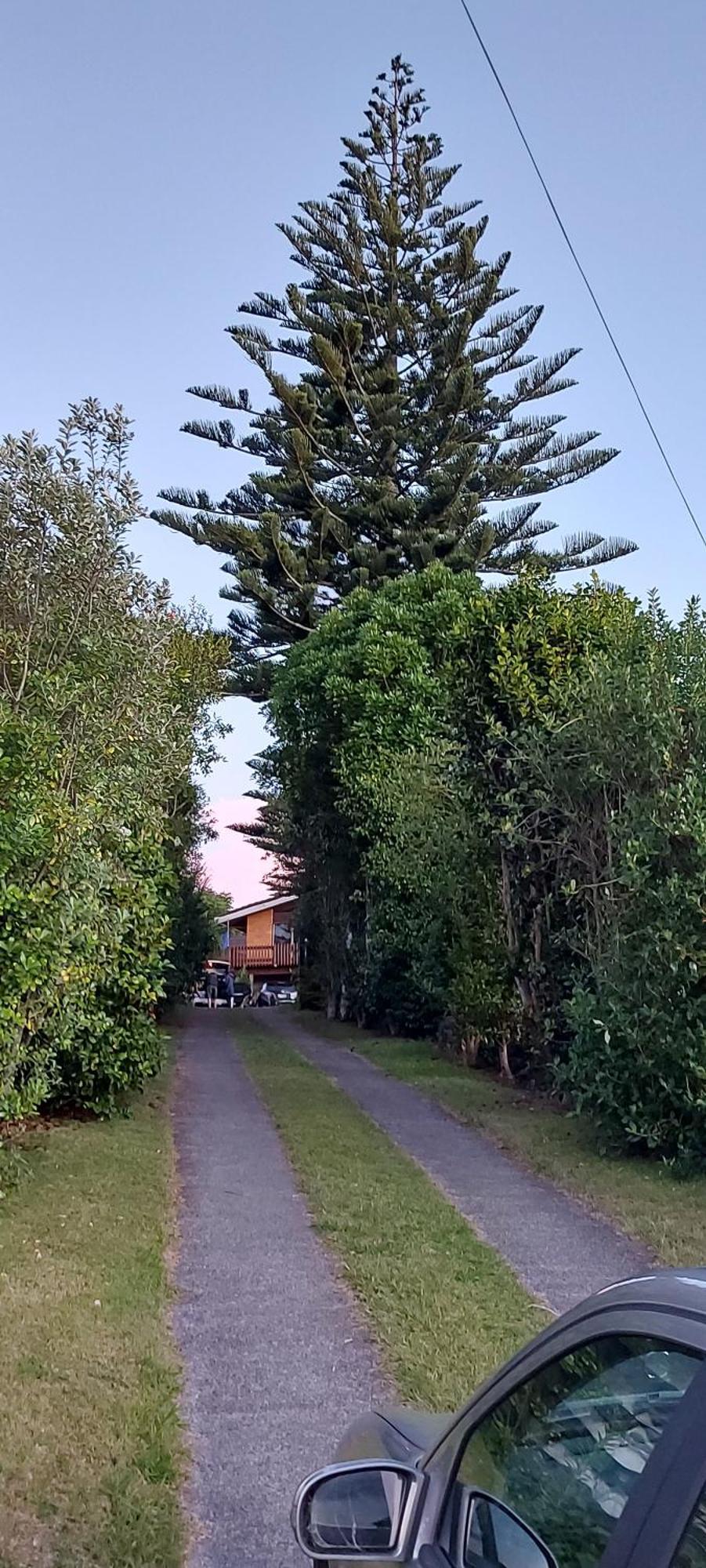 Haley'S Cabin Tauranga Exteriör bild