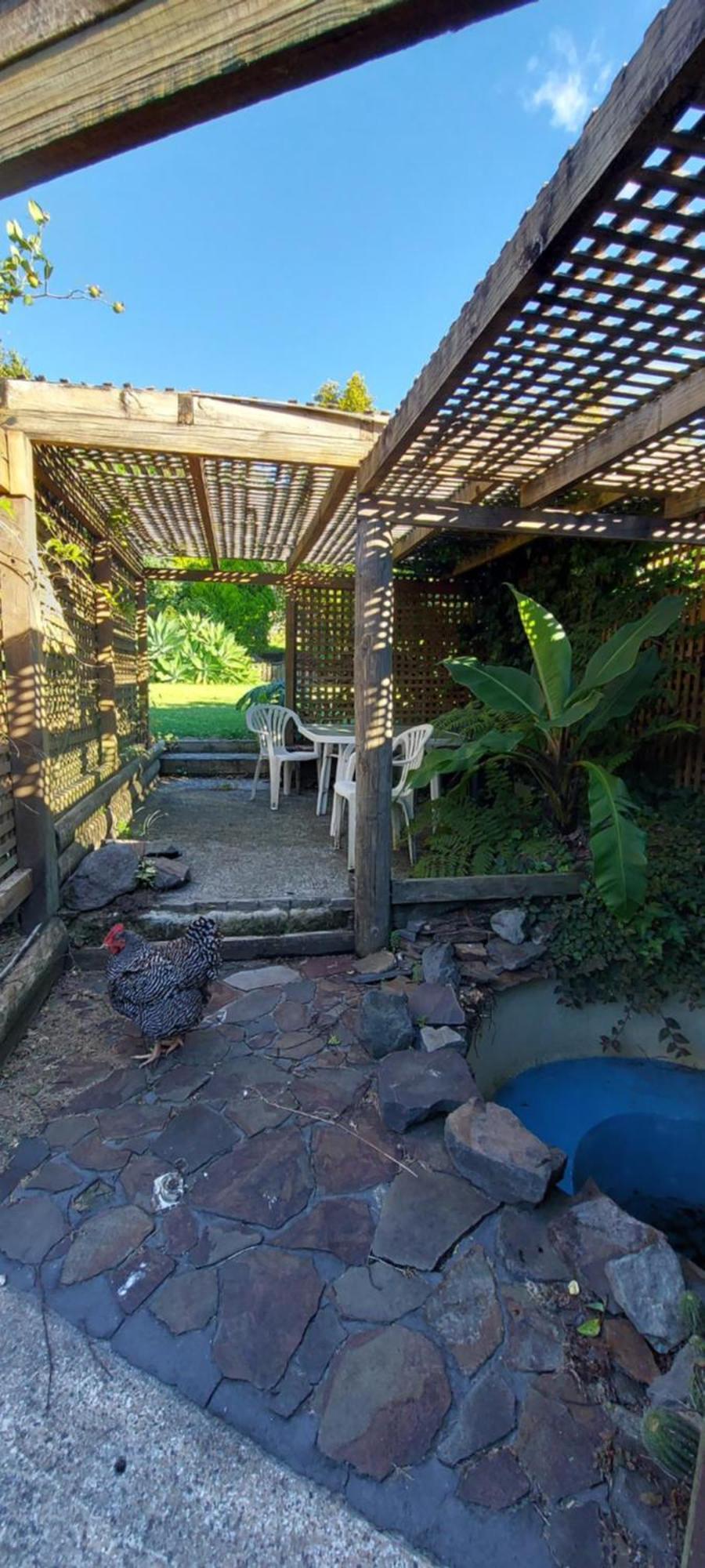 Haley'S Cabin Tauranga Exteriör bild